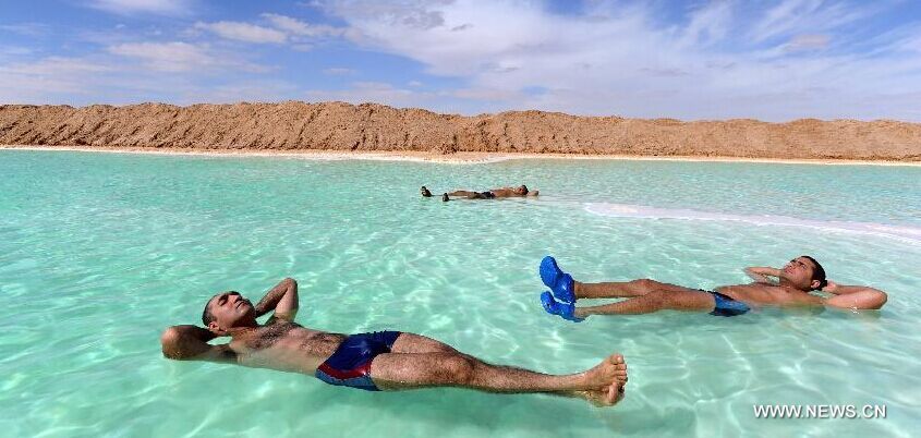 واحة سيوة