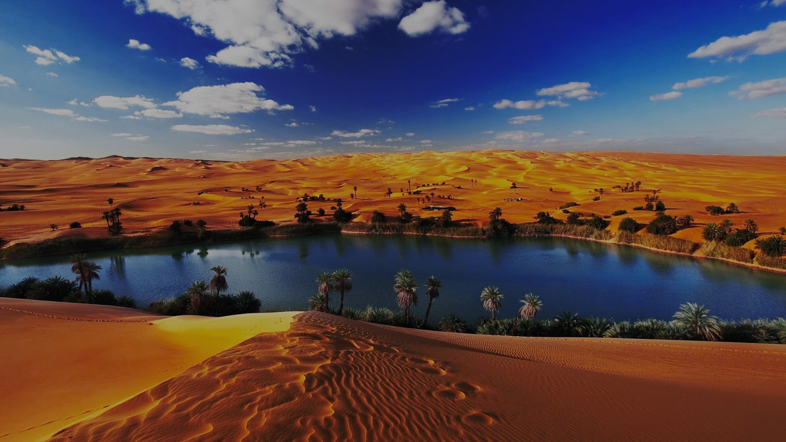 الفيوم