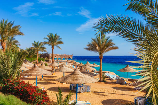 الغردقة